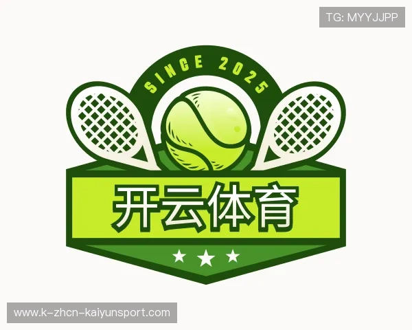 了解开云网页版